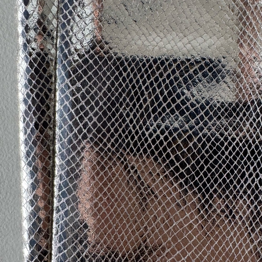NWT 4th + Reckless Philo Trouser, silver, snake skin, Sz XS, club party rave era - Picture 4 of 15